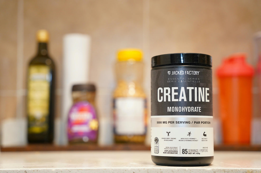 Why Every Adult Can Benefit from Creatine Monohydrate